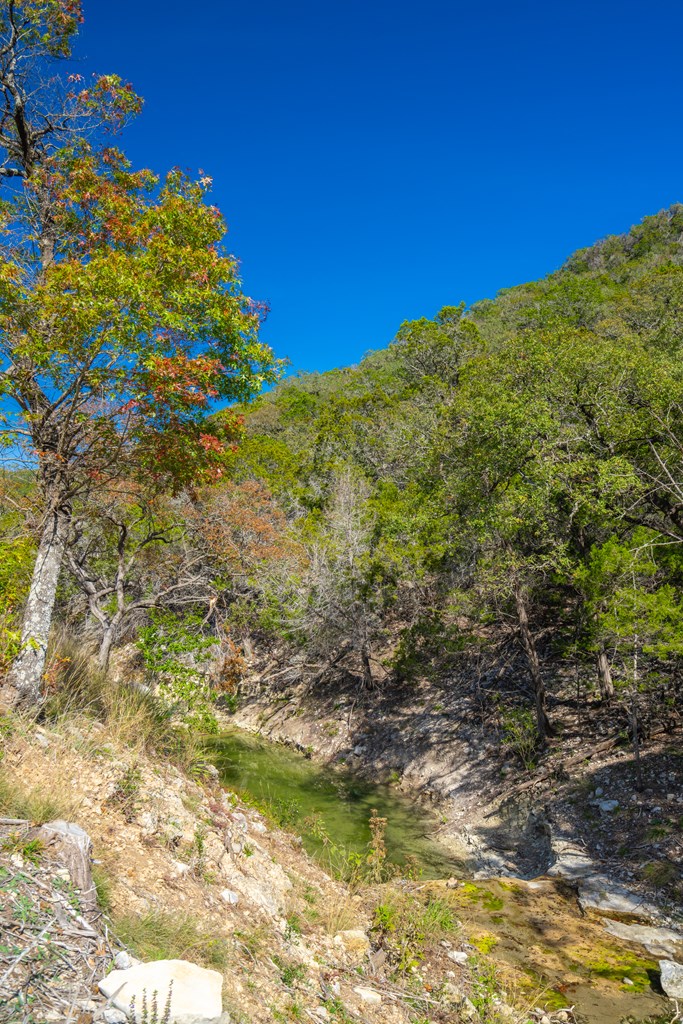 TBD Hwy 83, Leakey, Texas image 37