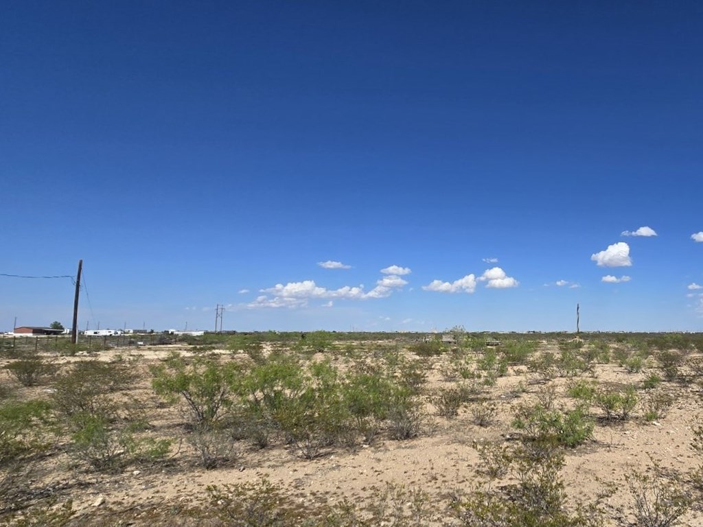 4322 W Blue Waters St, Odessa, Texas image 2
