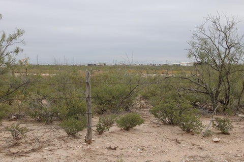Vacant Land For Sale - Fm 866<br/> Odessa, TX 79764