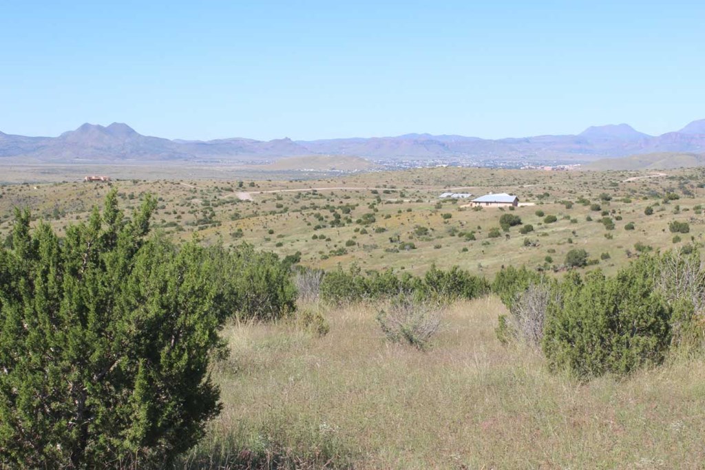Tract 56 Sierra La Rana, Alpine, Texas image 6