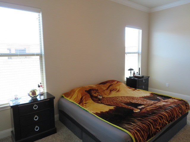 1812 Masquerade Blvd, Odessa, Texas image 12