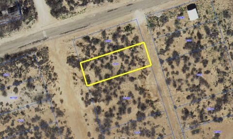 Vacant Land For Sale - TBD Tbd<br/> Pyote, TX 79777