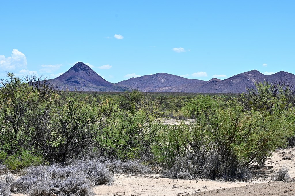 605 Ltm Rd, Terlingua, Pennsylvania image 3