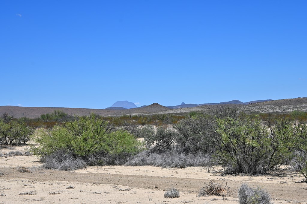 605 Ltm Rd, Terlingua, Pennsylvania image 9