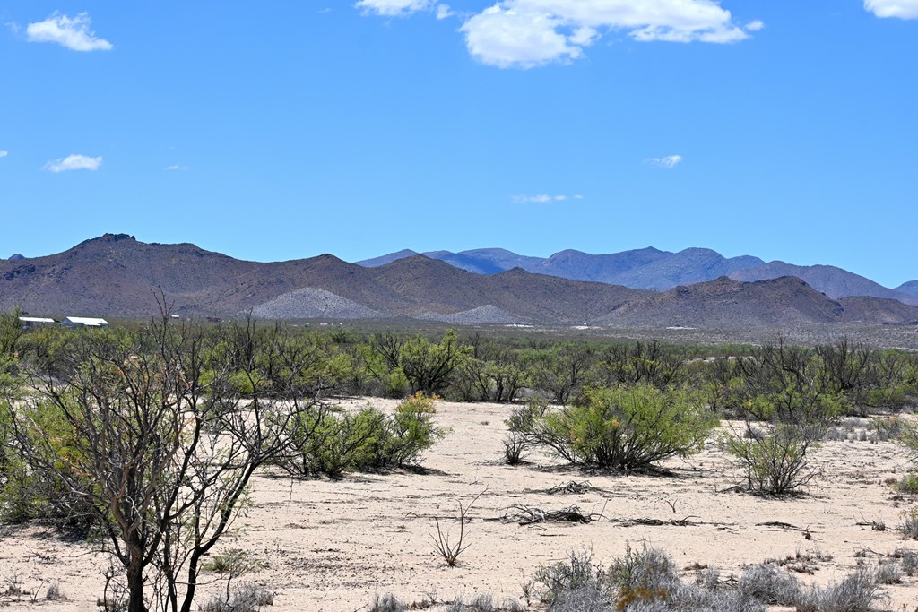 605 Ltm Rd, Terlingua, Pennsylvania image 6