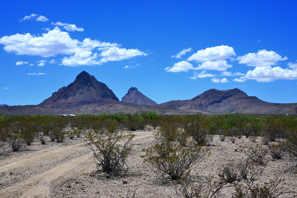605 Ltm Rd, Terlingua, Pennsylvania image 13