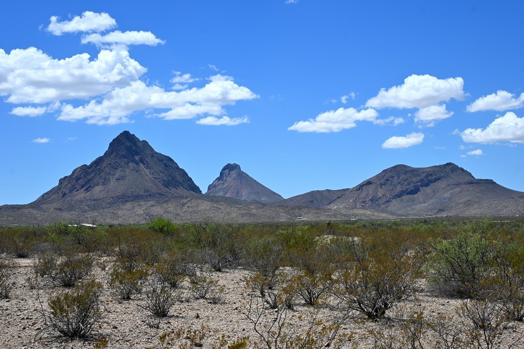 605 Ltm Rd, Terlingua, Pennsylvania image 20