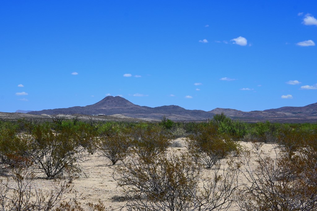 605 Ltm Rd, Terlingua, Pennsylvania image 22