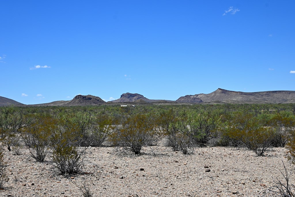 605 Ltm Rd, Terlingua, Pennsylvania image 18