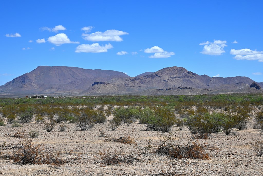 605 Ltm Rd, Terlingua, Pennsylvania image 16