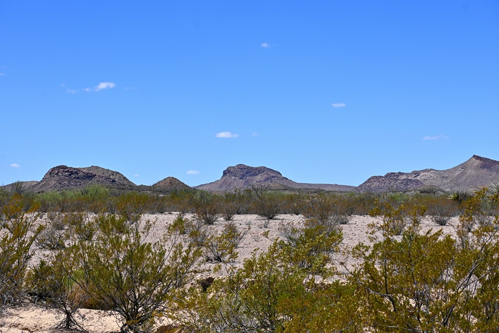 605 Ltm Rd, Terlingua, Pennsylvania image 4