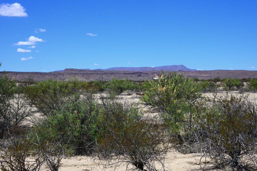 605 Ltm Rd, Terlingua, Pennsylvania image 23