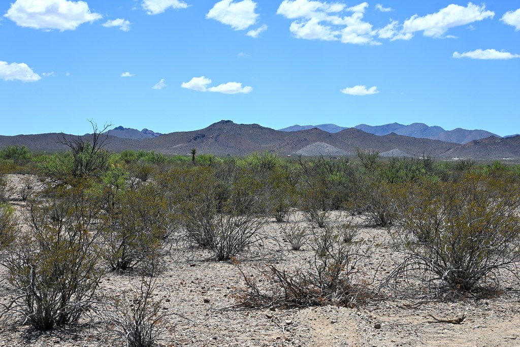 605 Ltm Rd, Terlingua, Pennsylvania image 19