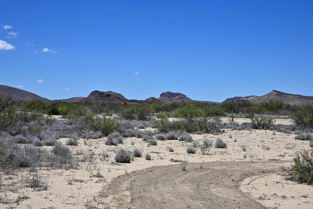 605 Ltm Rd, Terlingua, Pennsylvania image 8
