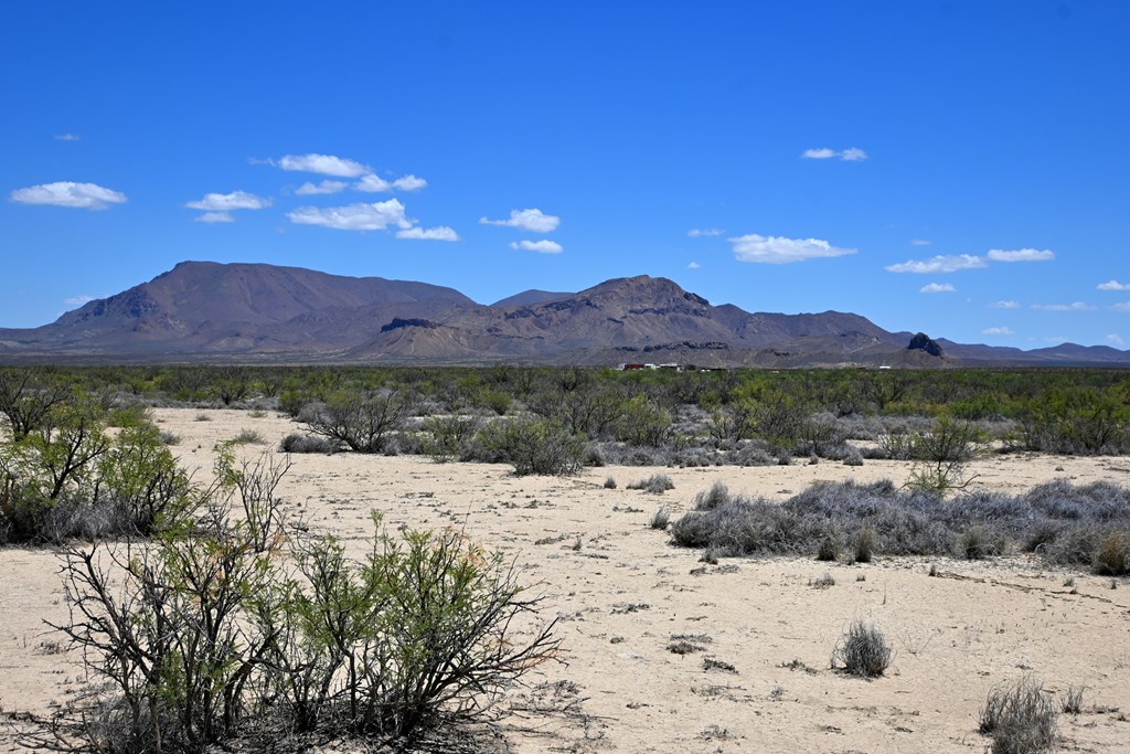 605 Ltm Rd, Terlingua, Pennsylvania image 10