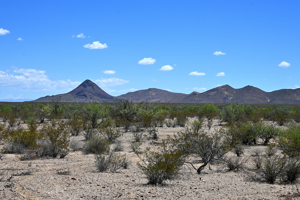605 Ltm Rd, Terlingua, Pennsylvania image 17