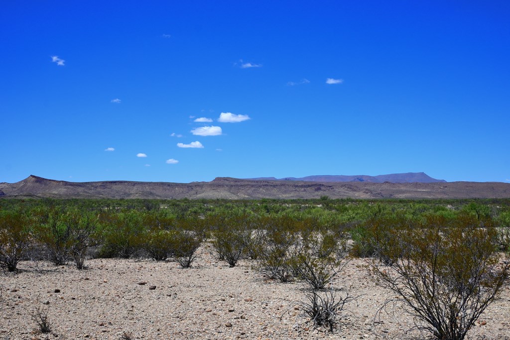 605 Ltm Rd, Terlingua, Pennsylvania image 14