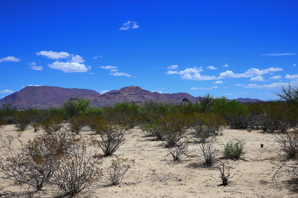 605 Ltm Rd, Terlingua, Pennsylvania image 21
