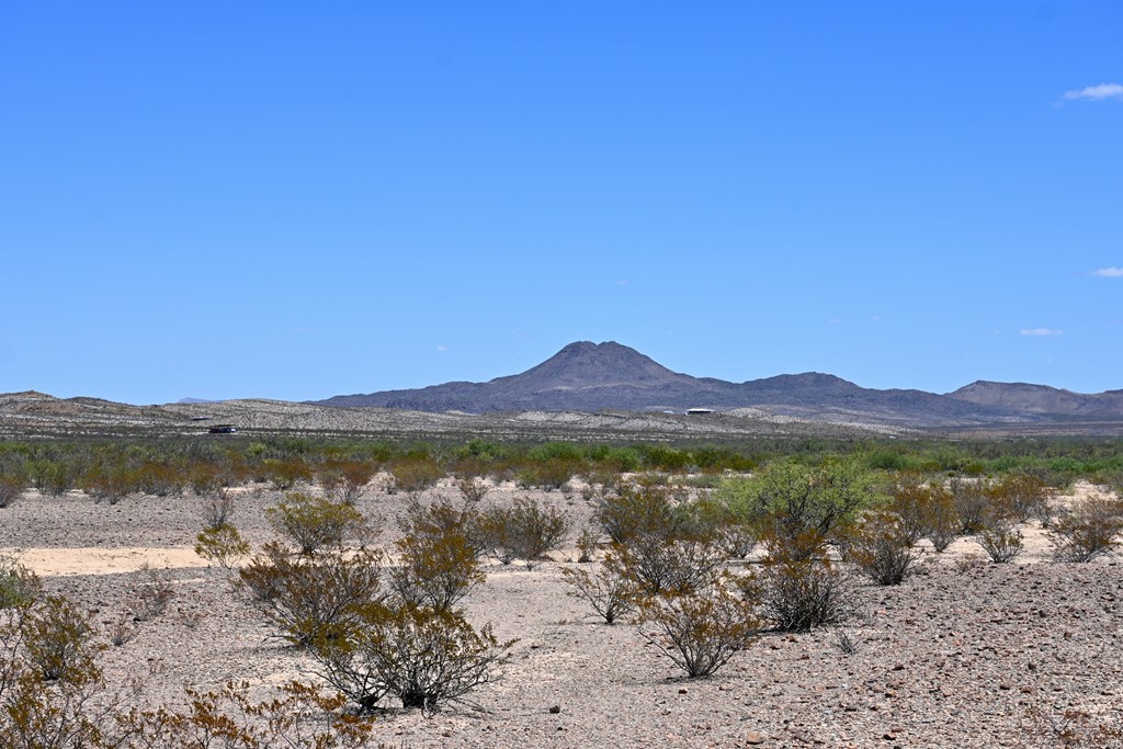 605 Ltm Rd, Terlingua, Pennsylvania image 5