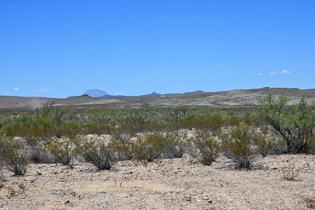 605 Ltm Rd, Terlingua, Pennsylvania image 15