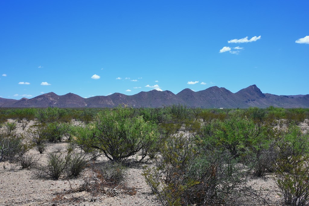 605 Ltm Rd, Terlingua, Pennsylvania image 12