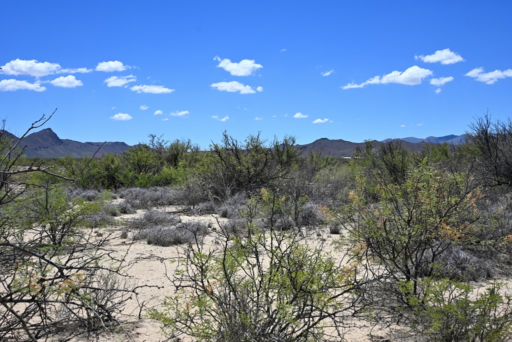 605 Ltm Rd, Terlingua, Pennsylvania image 7