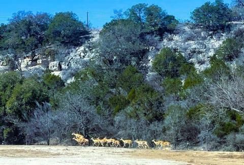 Vacant Land For Sale - 3660 S St Andrews<br/> Junction, TX 76849