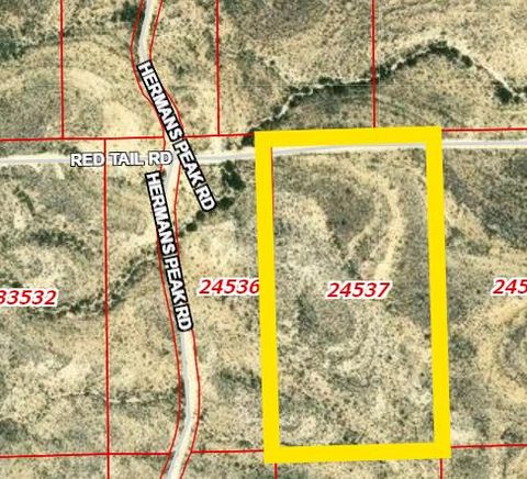 Vacant Land For Sale - 24537 Red Tail Rd<br/> Brewster County, Terlingua, TX 79852