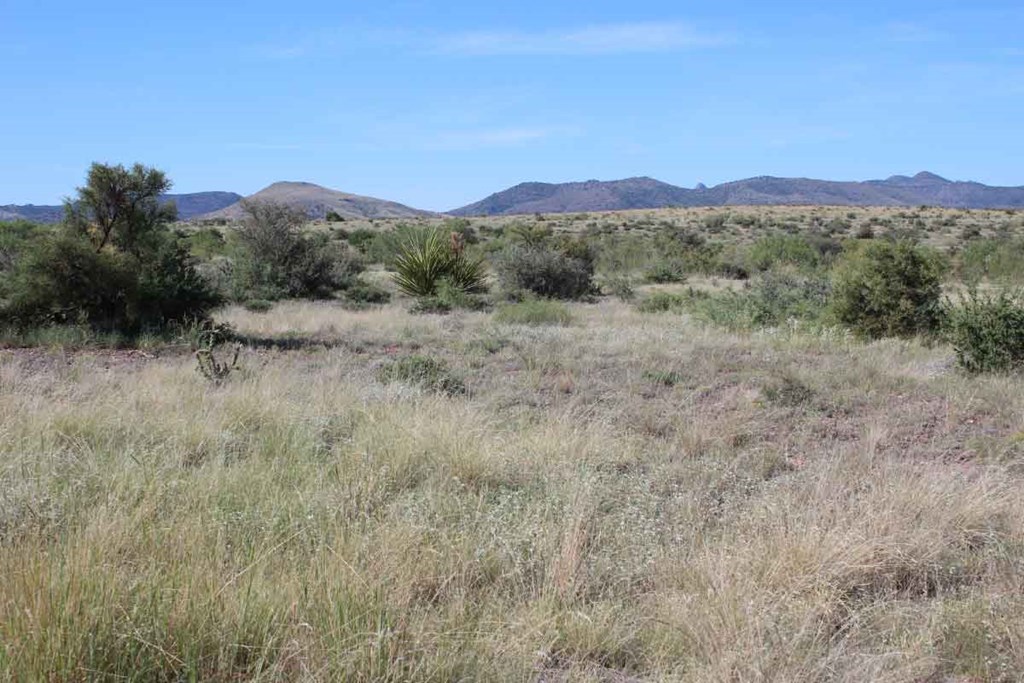 Tract 91 Sierra La Rana, Alpine, Texas image 8