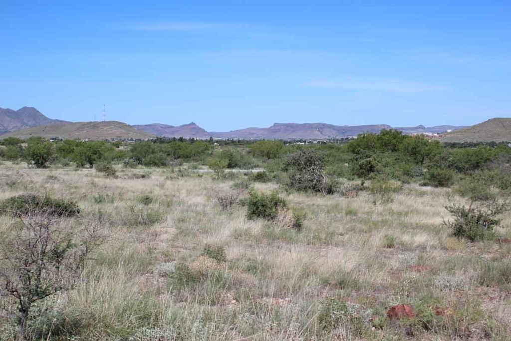 Tract 91 Sierra La Rana, Alpine, Texas image 6