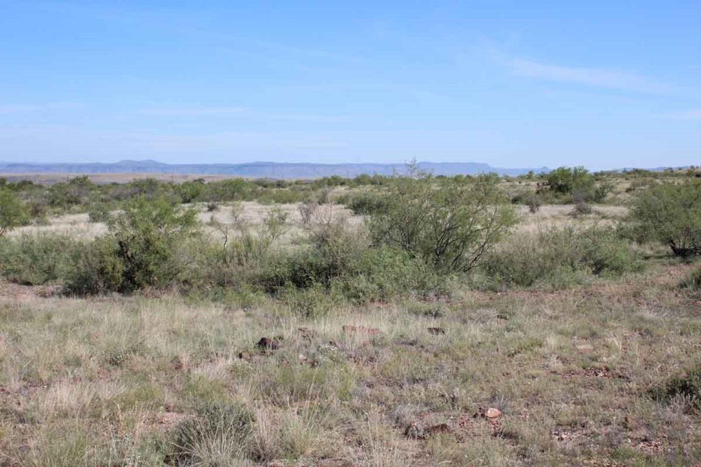 Tract 91 Sierra La Rana, Alpine, Texas image 7