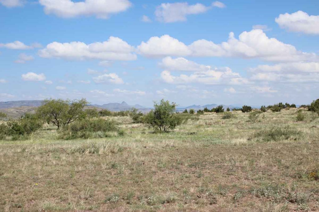 Tract 32 Sierra La Rana, Alpine, Texas image 7