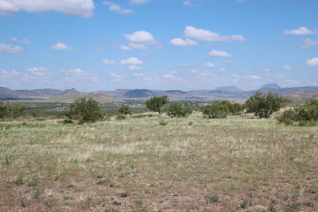 Tract 32 Sierra La Rana, Alpine, Texas image 6