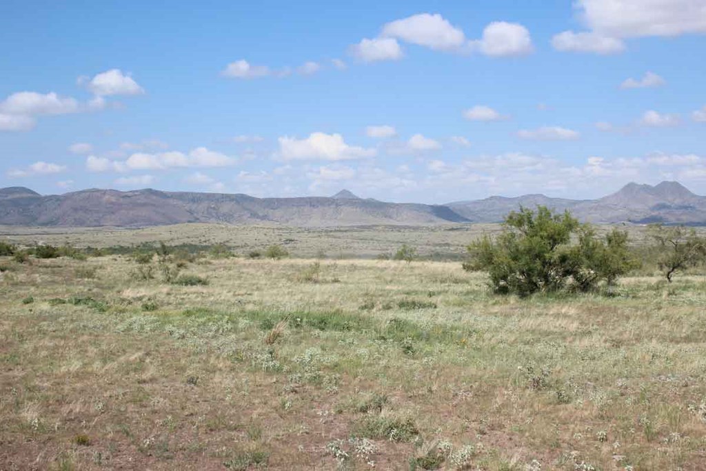 Tract 32 Sierra La Rana, Alpine, Texas image 8