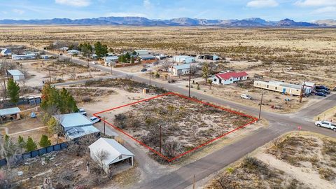 Vacant Land For Sale - 408 NE 8th St<br/> Marathon, TX 79842