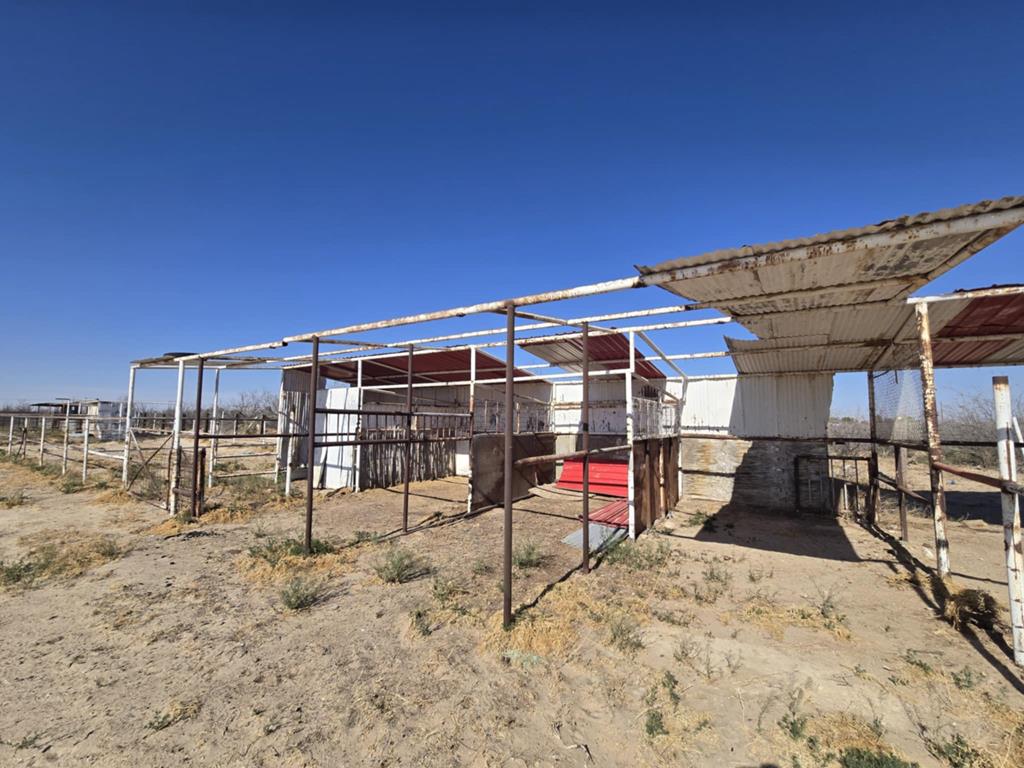 2107 W 48th St, Monahans, Texas image 14