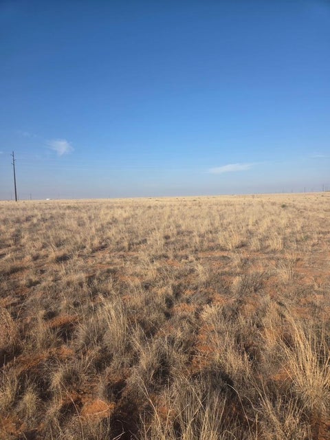 Vacant Land For Sale - TBD County Rd 390<br/> Denver City, TX 79323