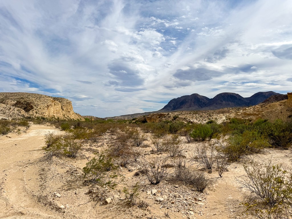 TBD None, Terlingua, Texas image 5