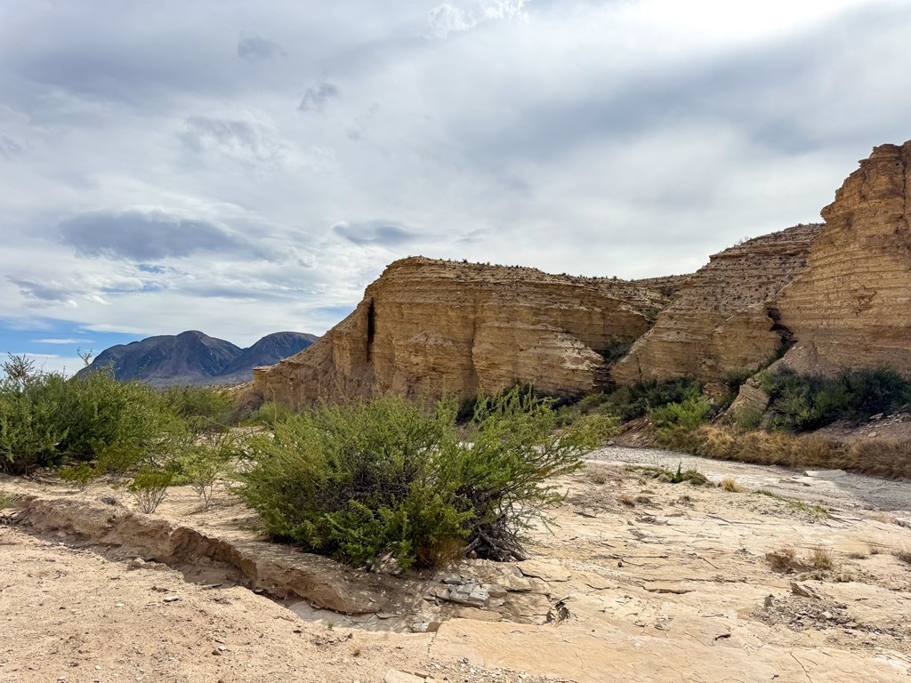 TBD None, Terlingua, Texas image 14