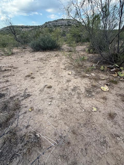 Vacant Land For Sale - 0000 Cactus Rose Lane<br/> Crockett County, Ozona, TX 76943