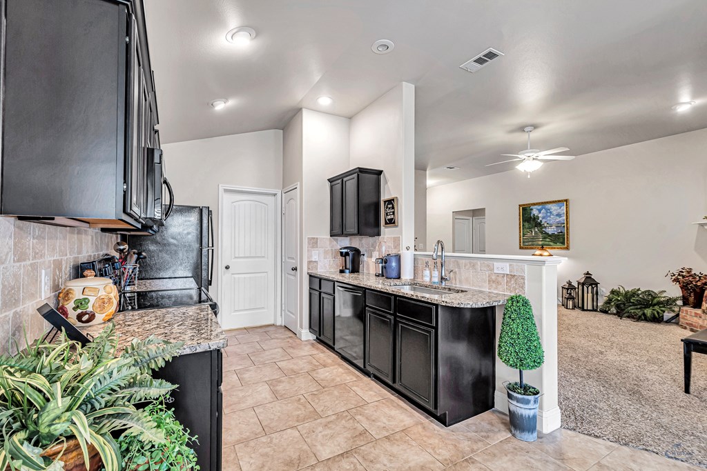 809 Brittlebush Ct, Odessa, Texas image 21