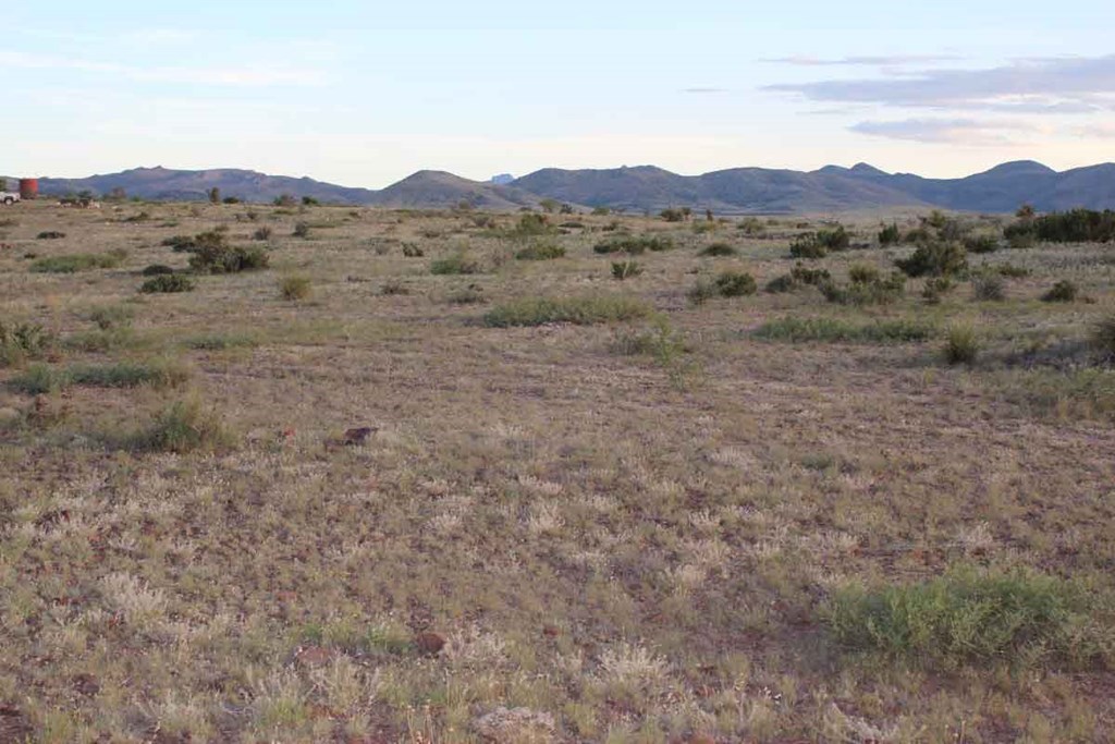 Tract 79 Sierra La Rana, Alpine, Texas image 8