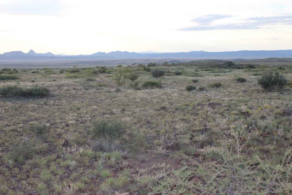 Tract 79 Sierra La Rana, Alpine, Texas image 7