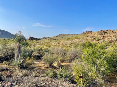 Vacant Land For Sale - 53040 S Hwy 118<br/> Brewster County, Terlingua, TX 79852