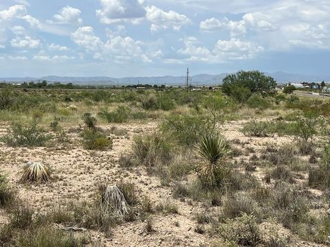 Vacant Land For Sale - 00 E Hwy 90<br/> Marathon, TX 79842
