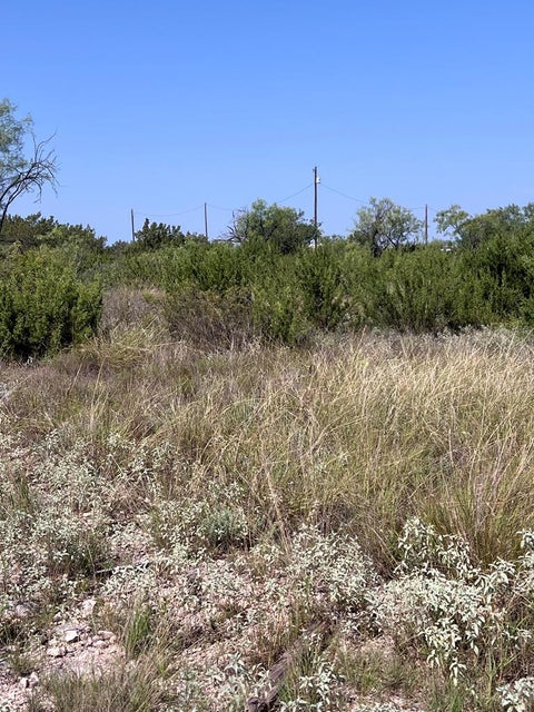Vacant Land For Sale - 21008 Frank Rd<br/> Paint Rock, TX 76866