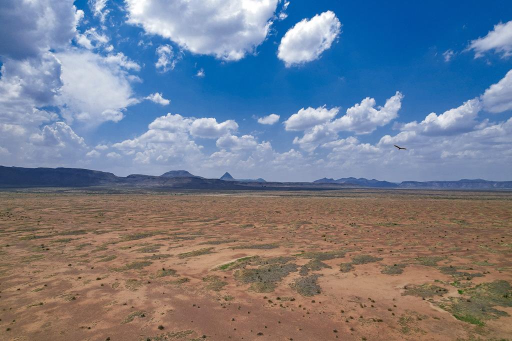 Tr 44 Calle Limpia, Alpine, Texas image 10