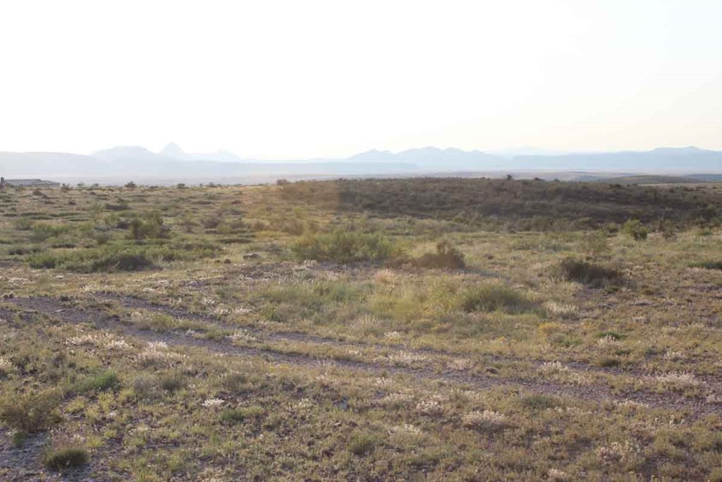 Tract 9 Sierra La Rana, Alpine, Texas image 6