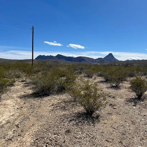 Vacant Land For Sale - 31466 Ringtail Rd<br/> Terlingua, TX 79852