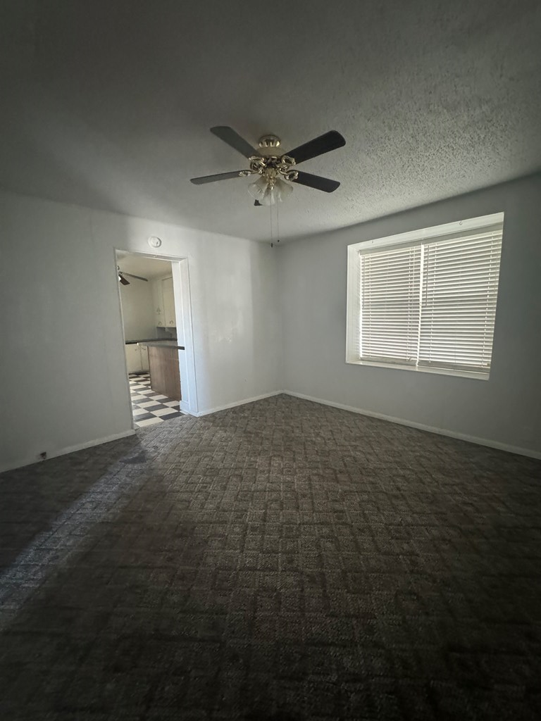 103 N Jackson Street, Fort Stockton, Texas image 6